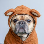 Fleece-Lined Warm Ear-Standing Dog Sweater - Stylish Pet Hoodie