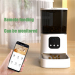 Smart WiFi Automatic Cat Feeder – 6L with mobile App Control