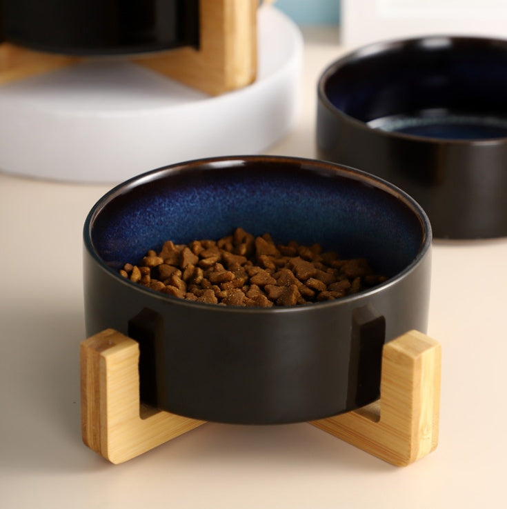 Ceramic Tilted Cat Bowl Feeder with Elevated Base