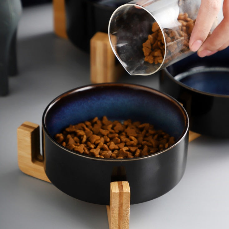 Ceramic Tilted Cat Bowl Feeder with Elevated Base
