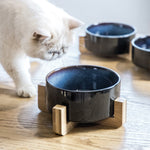Ceramic Tilted Cat Bowl Feeder with Elevated Base