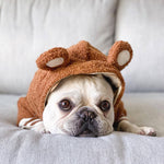 Fleece-Lined Warm Ear-Standing Dog Sweater - Stylish Pet Hoodie