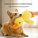 Plush Duck Dog Toy β Soft & Squeaky Comfort Companion