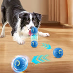 Interactive Durable Chew Ball for Dogs