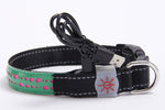 LED Luminous Engraved Leather Dog Collar - Rechargeable Pet Collar